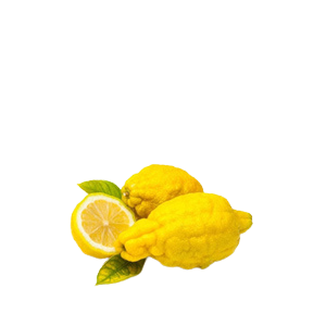 Balancy 03.2 - Rebalanserende Essensielle sitronolje 10 ml