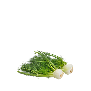 Serenity 02.1 - Beroligende fennikel eterisk olje 10 ml