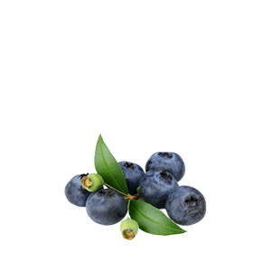 Serenity 02.3 - Beroligende myrt eterisk olje 10 ml